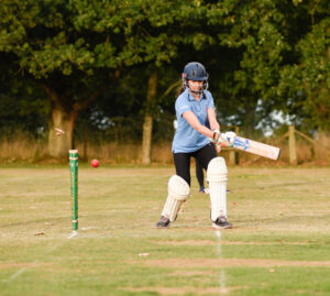 Citywide summer cricket